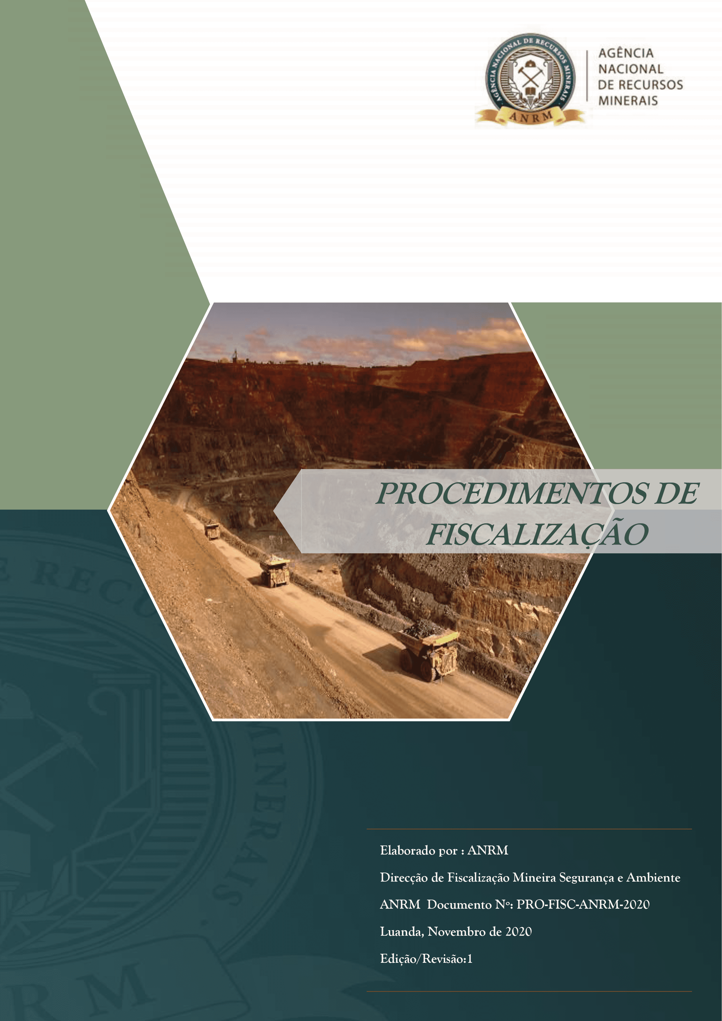 Manual de Fiscalização